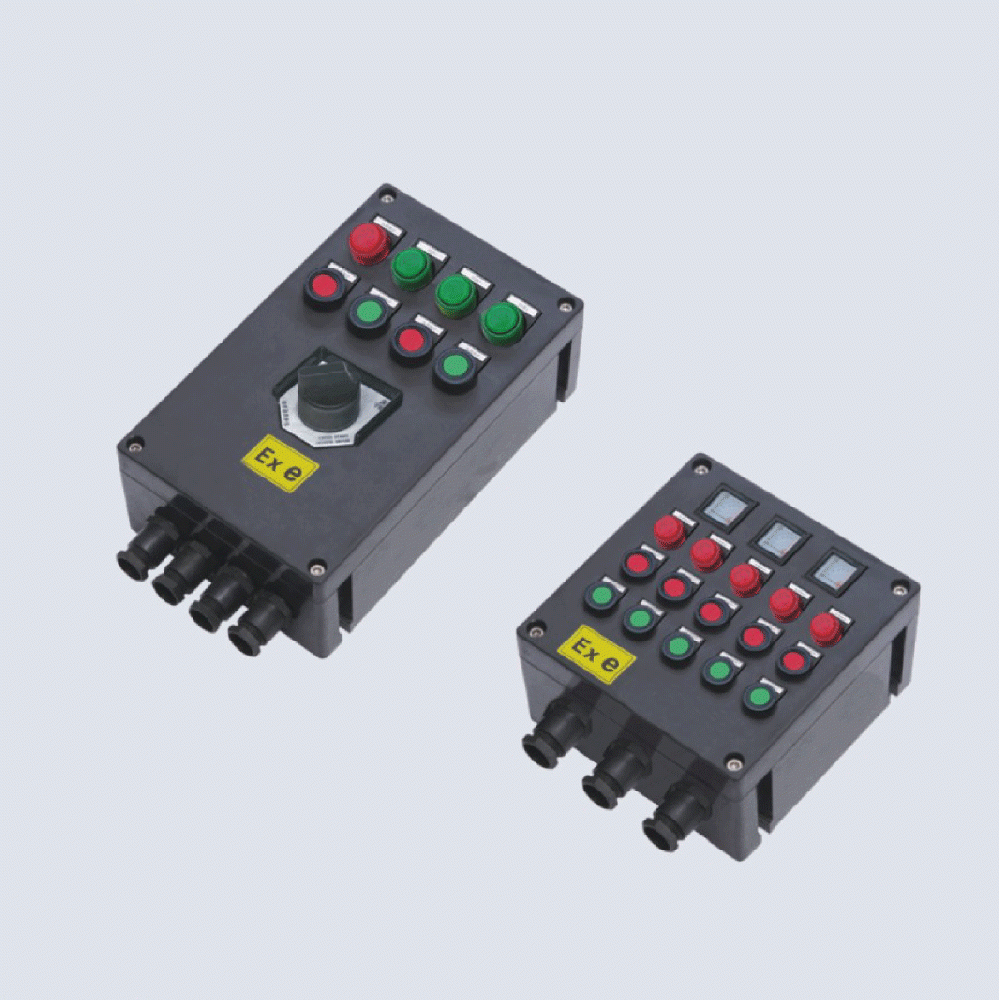 BXK8050-系列防爆防腐控制箱(IIC、 ExtD)