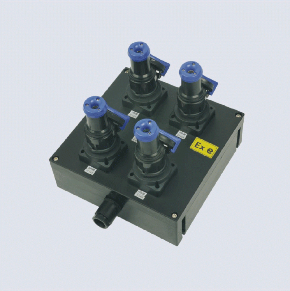 BXX8050-系列防爆防腐檢修電源插座箱(IIC、 ExtD)